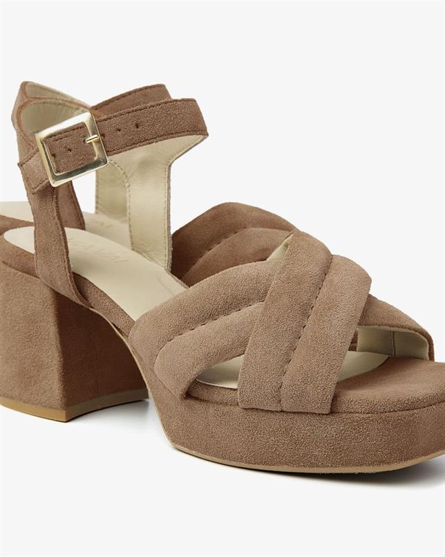 Cassia gabriel 300