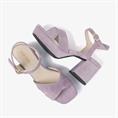 Cassia six 236