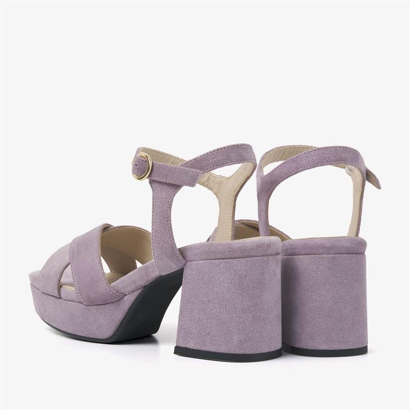Cassia six 236
