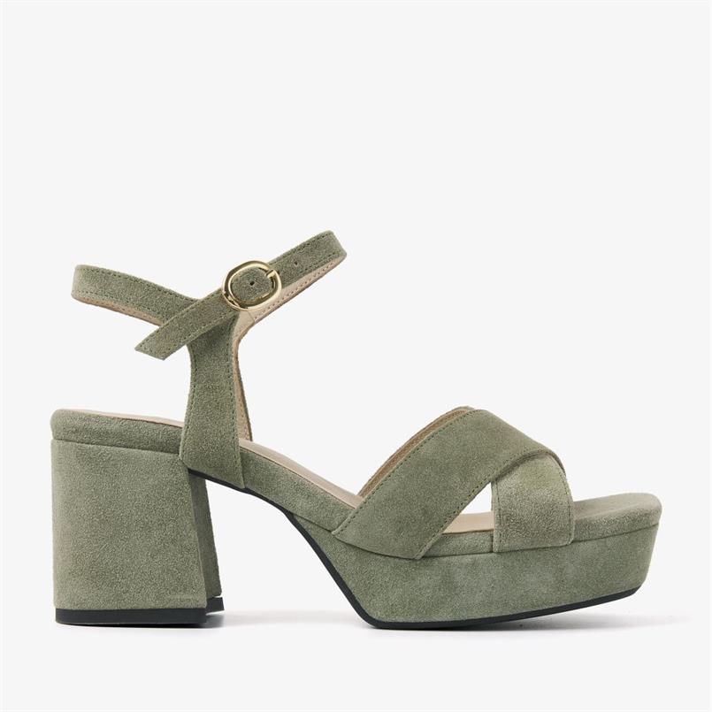 Cassia six 526