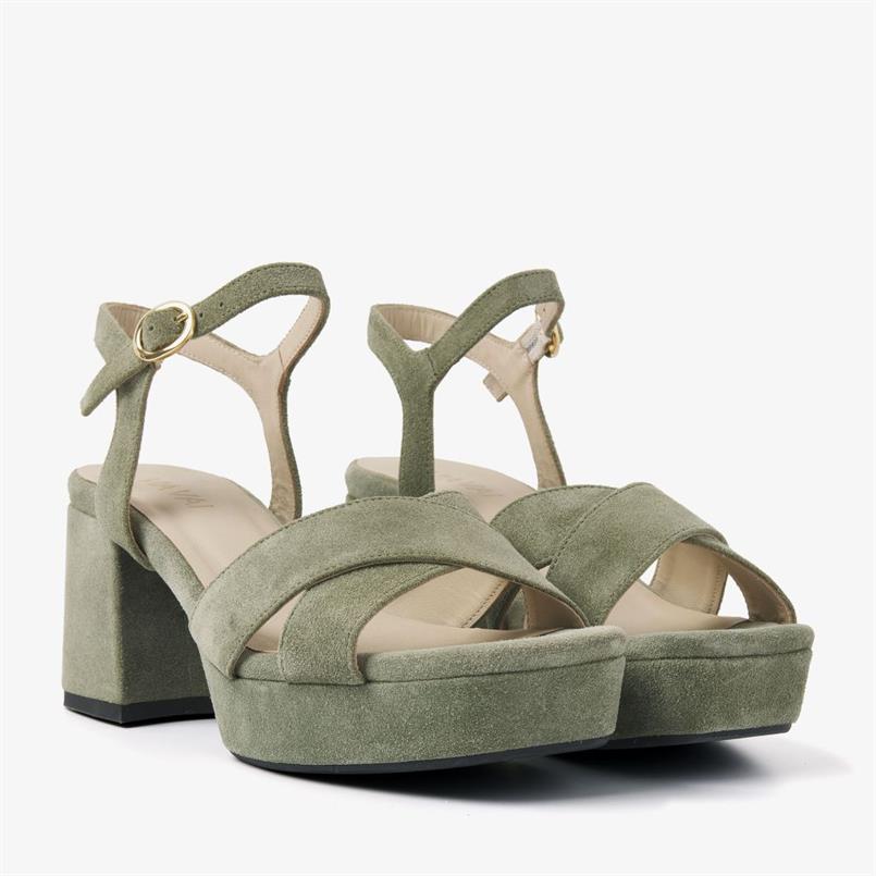 Cassia six 526