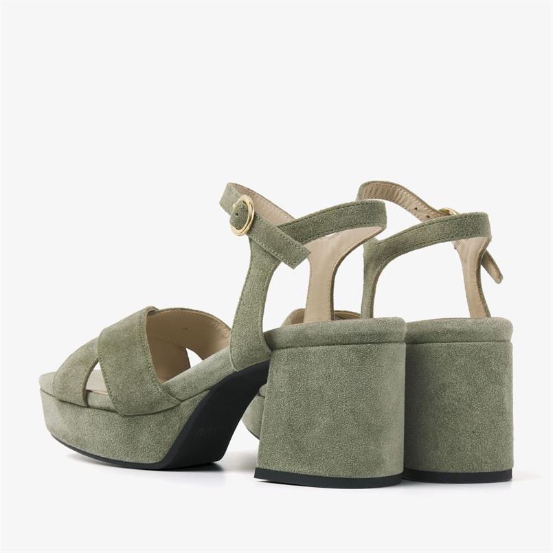 Cassia six 526