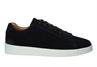 Cato victor navy