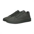 Cg179 vulcanic ash