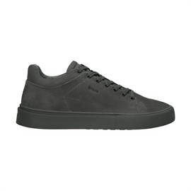 Cg179 vulcanic ash