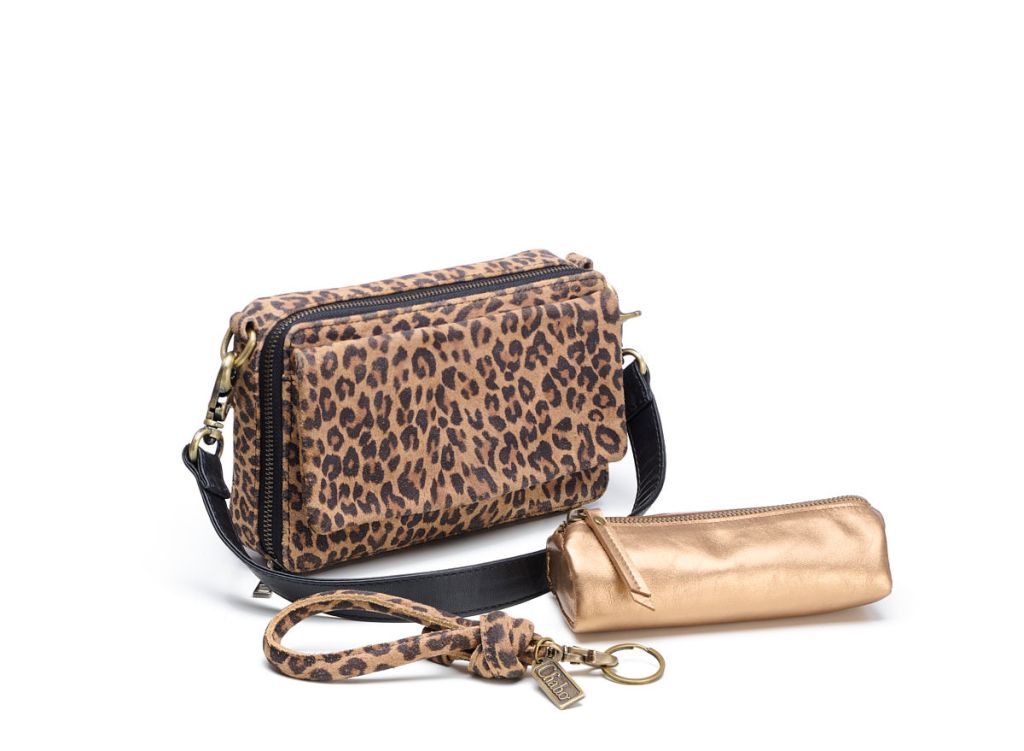 Chabo giftbox leopard