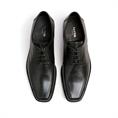 Dagan 23-556-00