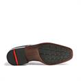 Dagan 23-556-00