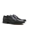 Dagan 23-556-00