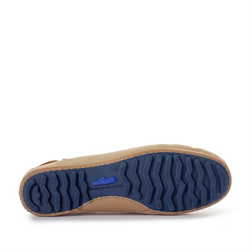 De drijver 01.07