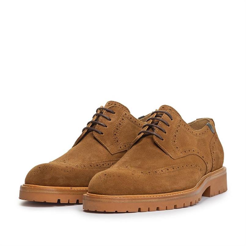 De karper 04.01 stb