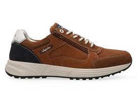Discover tan lr. t30