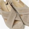 Elia paisley 204