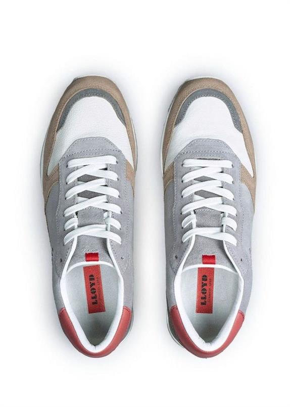 Elmore 11