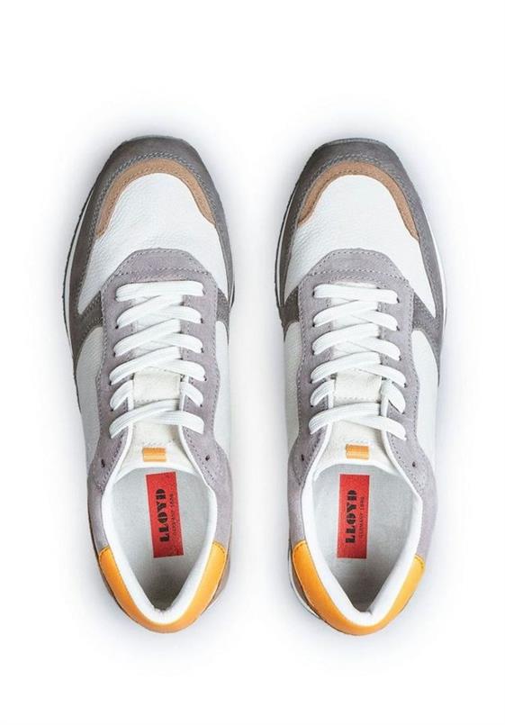 Elmore 12