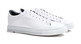 Enrico 21