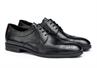 Farley 24-558-00