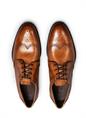 Farley 24-558-03
