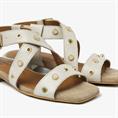 Gigi polly 946