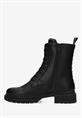 Holea ii glad black