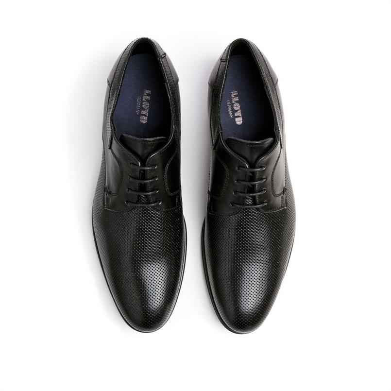 Levin 10