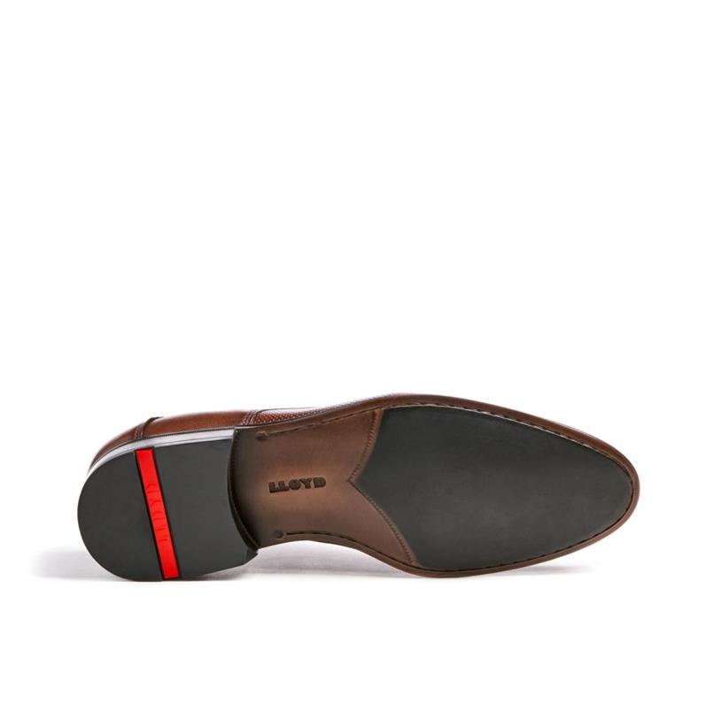 Levin 13