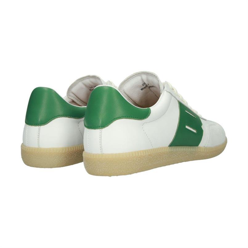 Lime wren white green