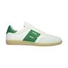 Lime wren white green
