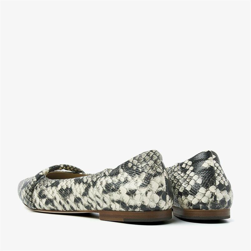 Lola rose 207