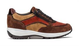 Lucca 321 brown bronze
