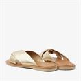 Mandy colette 1161