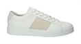Maynard white beige