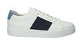 Maynard white navy