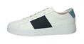 Maynard white navy