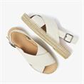 Mondi sun 1219