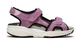 Nikiti 775 lilac