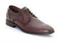 Osmond 27-558-17