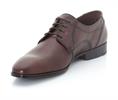 Osmond 27-558-17