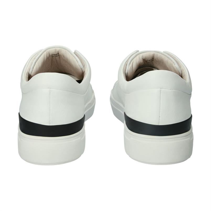 Pm56 white