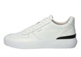 Radley white
