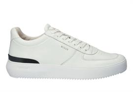 Radley white