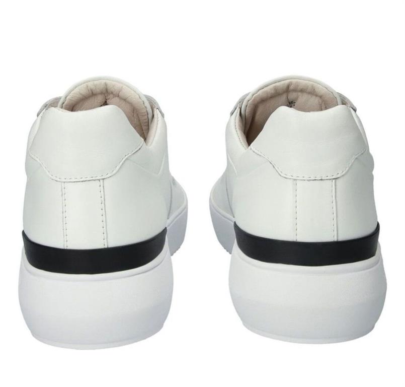 Radley white
