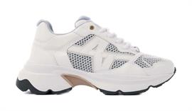 Ross trek edge (l)