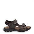 Salton basics c1