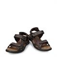 Salton basics c1