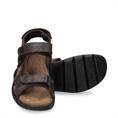 Salton basics c1