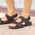 Salton basics c1