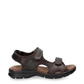 Salton basics c1