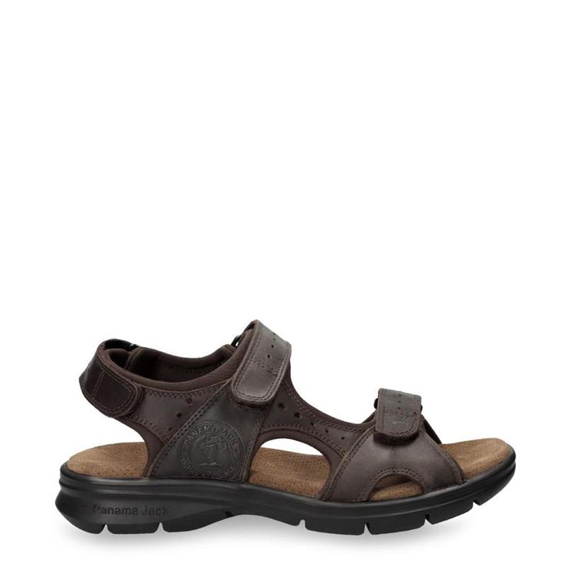 Salton basics c1
