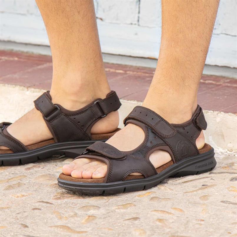 Salton basics c1